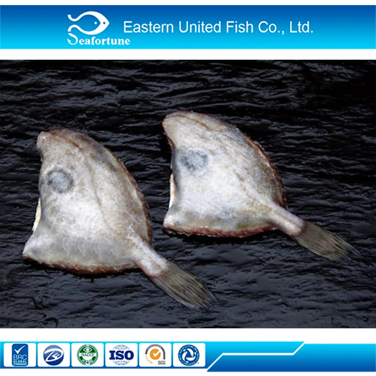 China Seafood Frozen Fresh John Dory Fish