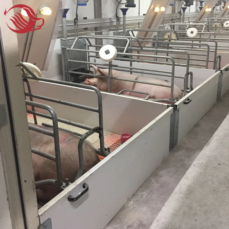 Factory farming pig used sow farrowing house/ crates farrowing pen/stall design for sale