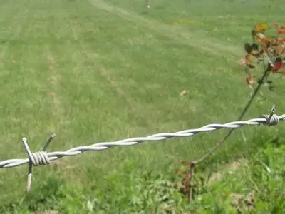 Оптовая продажа спиральная двойная колючая проволока из нержавеющей стали для продажи