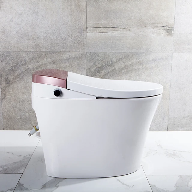 One piece smart sensor automatic toilet flusher