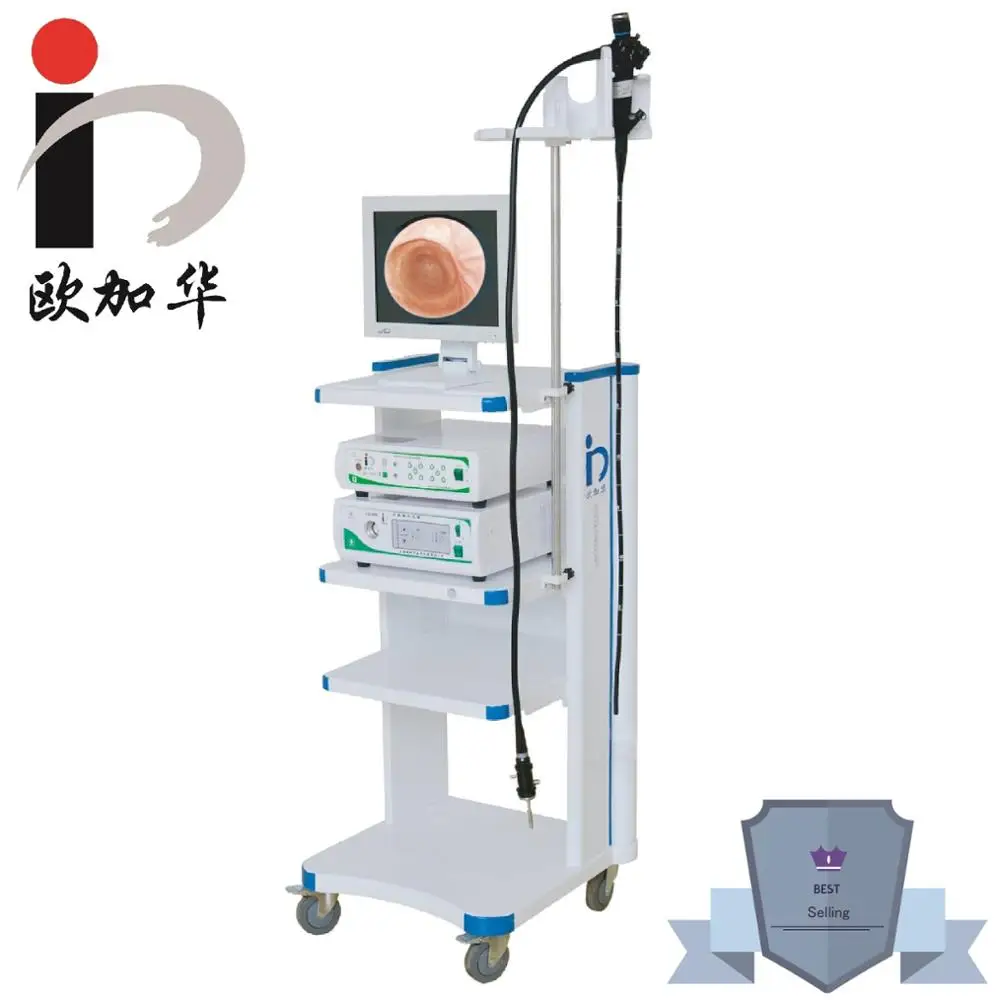 High quality cheap Fiber endoscope of gastroscope colonoscopy for sale