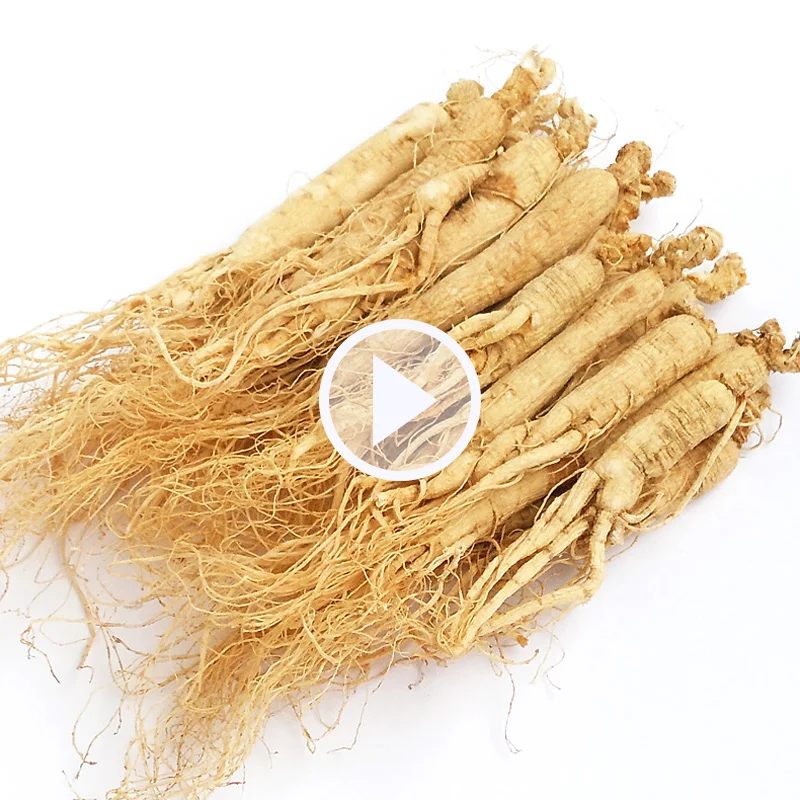 China Changbai Mountain Sun cured ginseng dry RADIX GINSENG