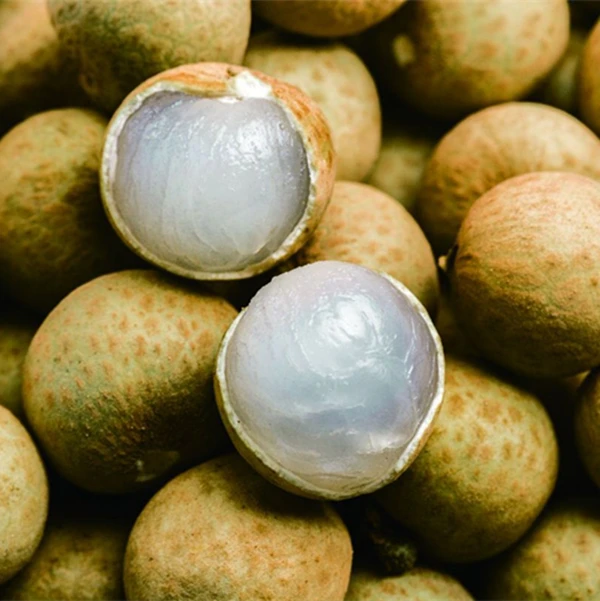 Cheap canned longan from china