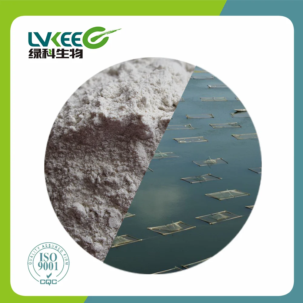 Lvkee supply Probiotics 20 bilion cfu/g Bacillus Cereus Powder for Aquaculture
