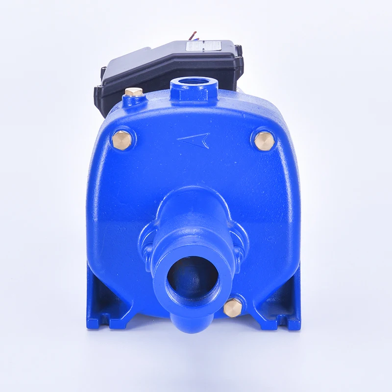 large flow high lift heavy duty twin brass impellers cast iron deep well self priming pump