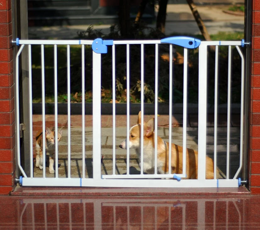EN1930 расширяемые безопасные железные ворота для домашних животных с дверью, очень высокие ворота для собак