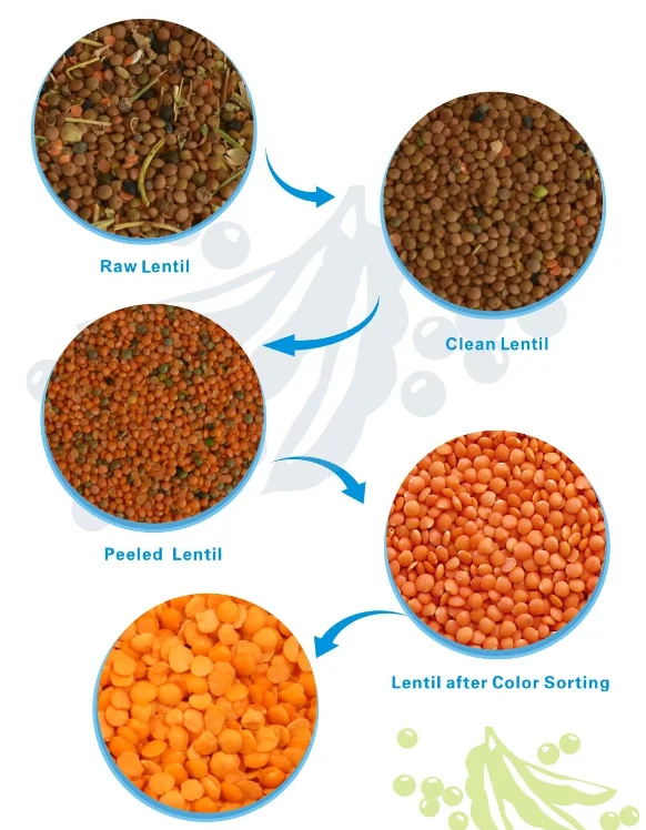 Lentil Cleaning, Peeling,Sorting and Packing Line Complete Turkey Lentil Processing Project
