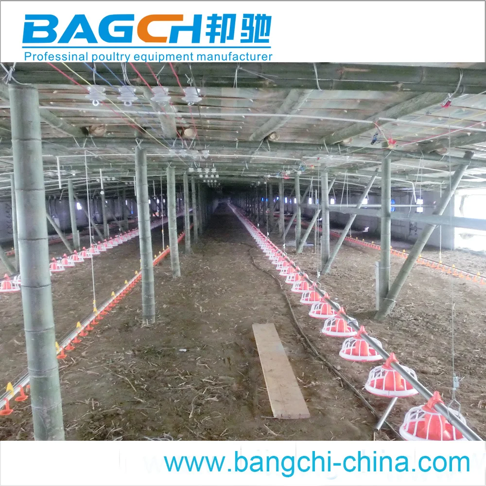 Broiler Sheds Design for Poultry Farm Equipment