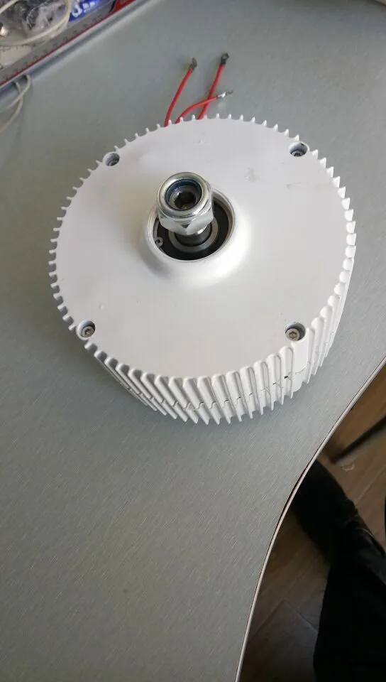 low torque 300 w 12/24 V DC permanent magnet alternator for sale