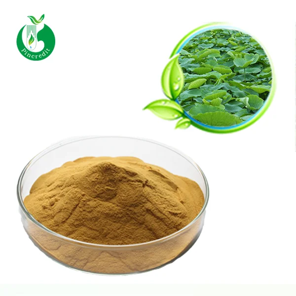 
High Quality Nelumbo Nucifera Extract Lotus Leaf Extract Nuciferine 