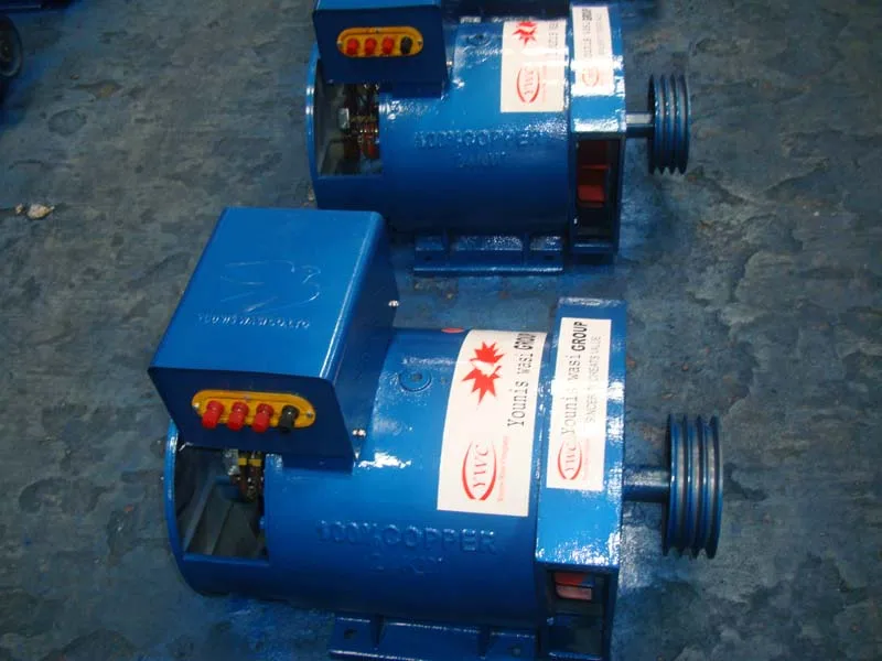 STC alter nator three-phaseA.C. synchronous generator price cheapest