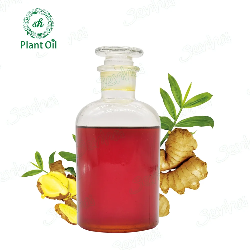 
OEM hot selling pure natural ginger essential oil for hair growth  (1600291159576)