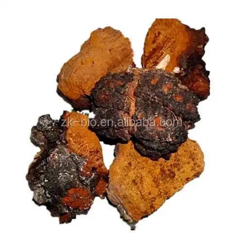 
Organic Chaga Mushroom Extract Polysaccharides 