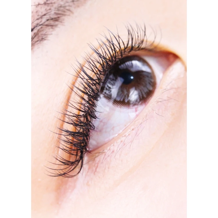 Lively D+ Curl Split Tips Flat Eyelash Extension Wholesale 0.12