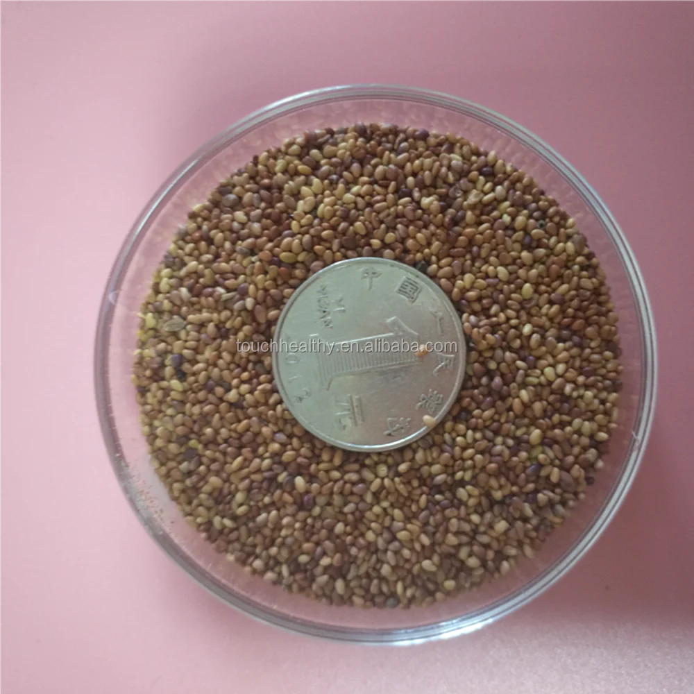 2021 Grass seeds red clover seeds for planting