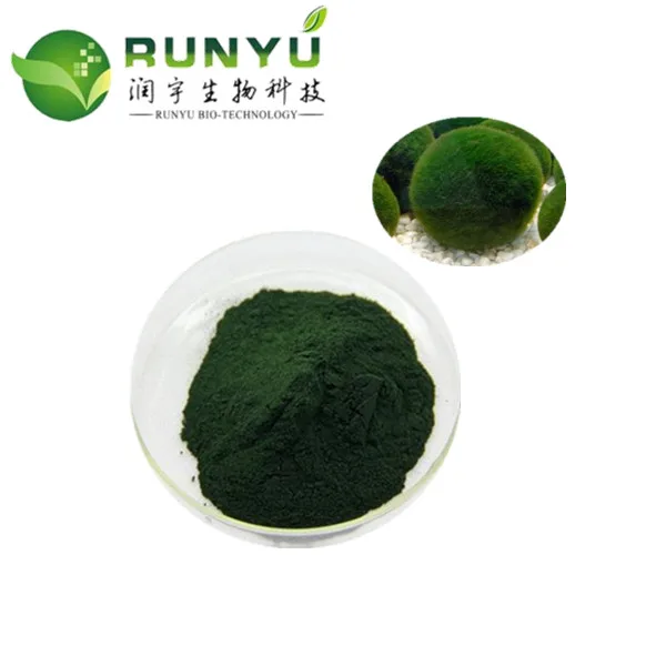 Factory Supply  chlorella powder in bulk organic chlorella powder spirulina and chlorella powder