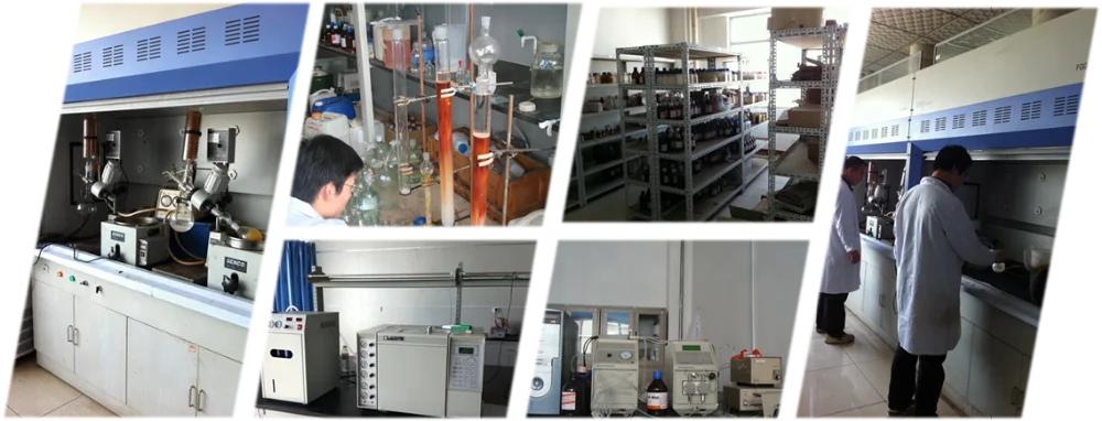 
VANZ Pharm Provide Amprolium Hydrochloride for Poultry 