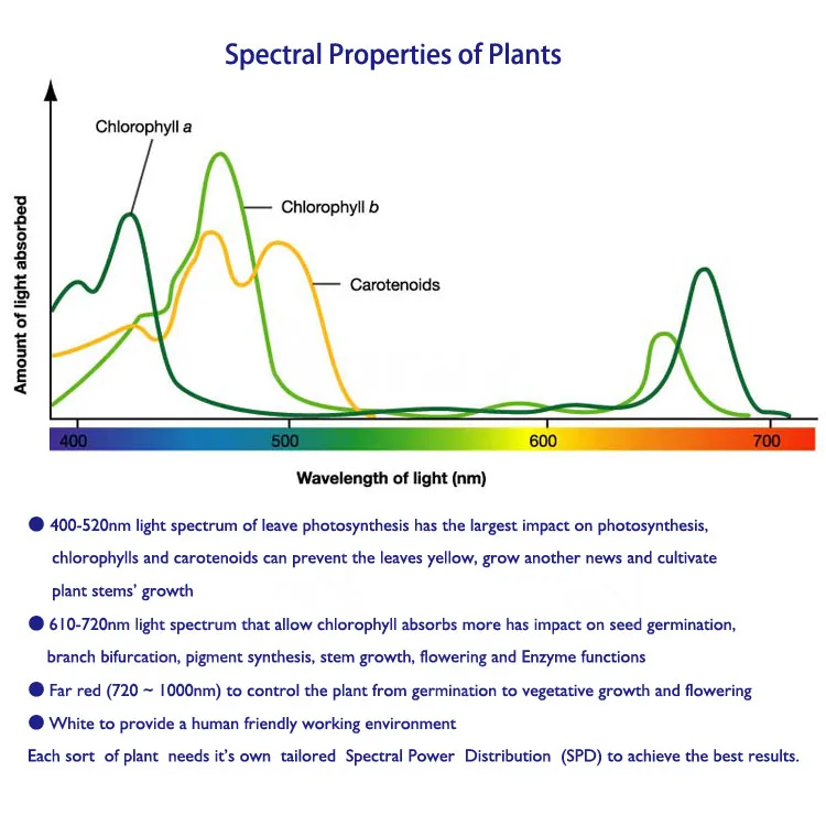 Светодиодное освещение для выращивания растений, полный спектр, для многослойных систем выращивания овощей