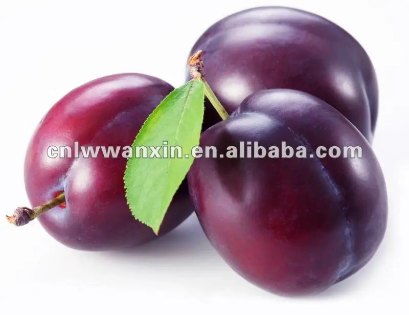 
plum exporter 