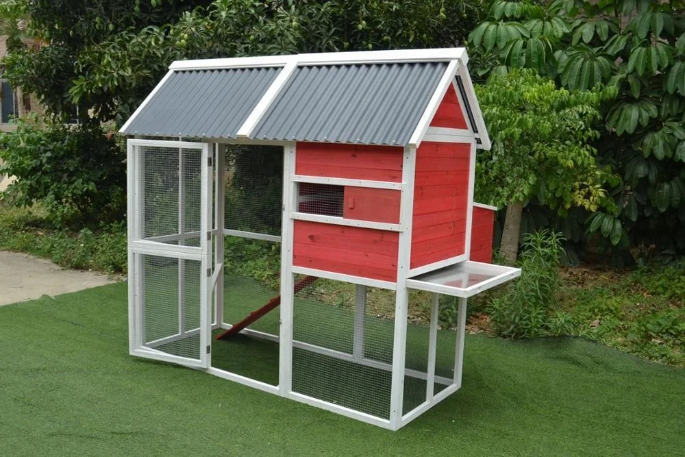 Wooden plastic roof chicken coop