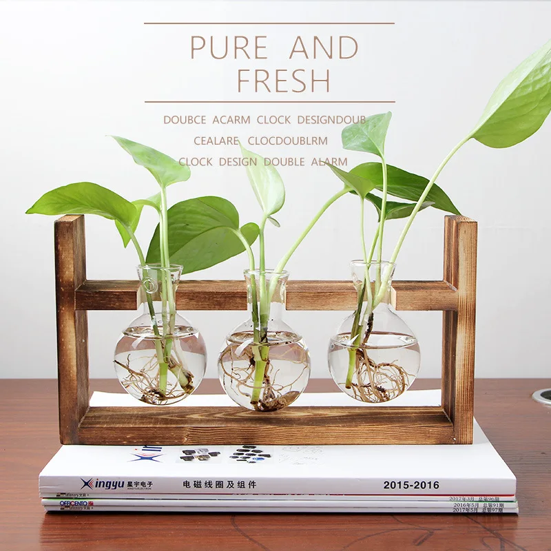 Creative Wooden Hydroponic Container Transparent Glass Vase for Green Plant Desktop Decoration for Home Use on the Floor