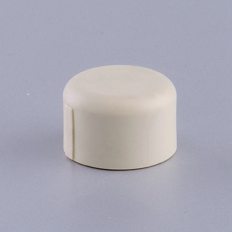 Promotional Fitting Plastic Plugs White End Cap Ppr Pipe Fittings for ppr pipes