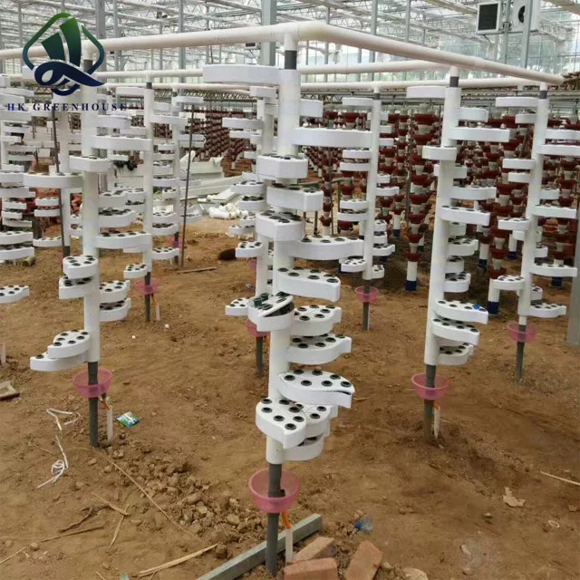 Complete Hydroponic System for growing vegetable in greenhouse