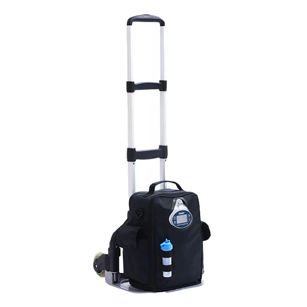 
Lovego Portable Medical Oxygen Device LG102P with 4 Hours Battery Life 