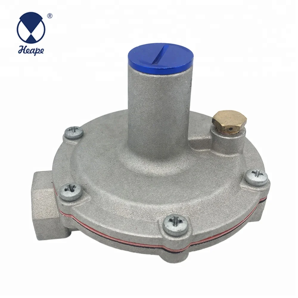 
HEAPE Professional Industrial Gas Regulator 