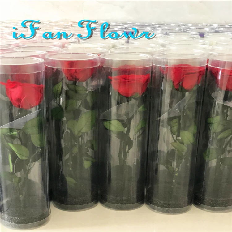 Hot new crazy selling eternal flowers preserved rose in acrylic gift box