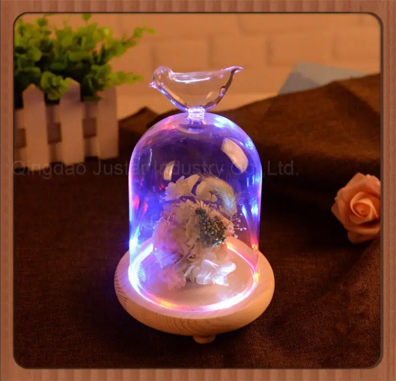 
Bell Jar Small Glass Dome with Wood base \ Taxidermy Glass Butterfly Dome \ Display Tall decorative clear glass bell jar dome 