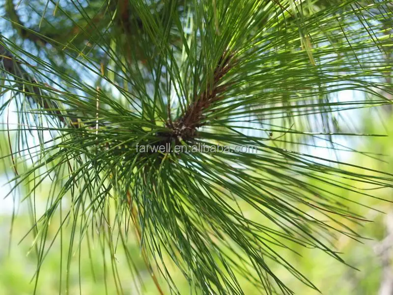 Дигидромиценол C10H20O, синтетический ароматизатор и аромат, повседневный вкус, промышленный бесцветный и светло-желтый прозрачный жидкий аромат