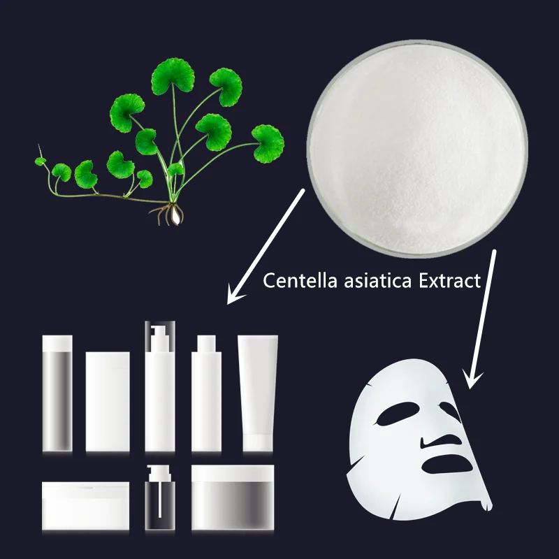 organic skin care cosmetic grade centella asiatica powder extract 80% Asiaticosides cosmetics makeup gotu kola extract