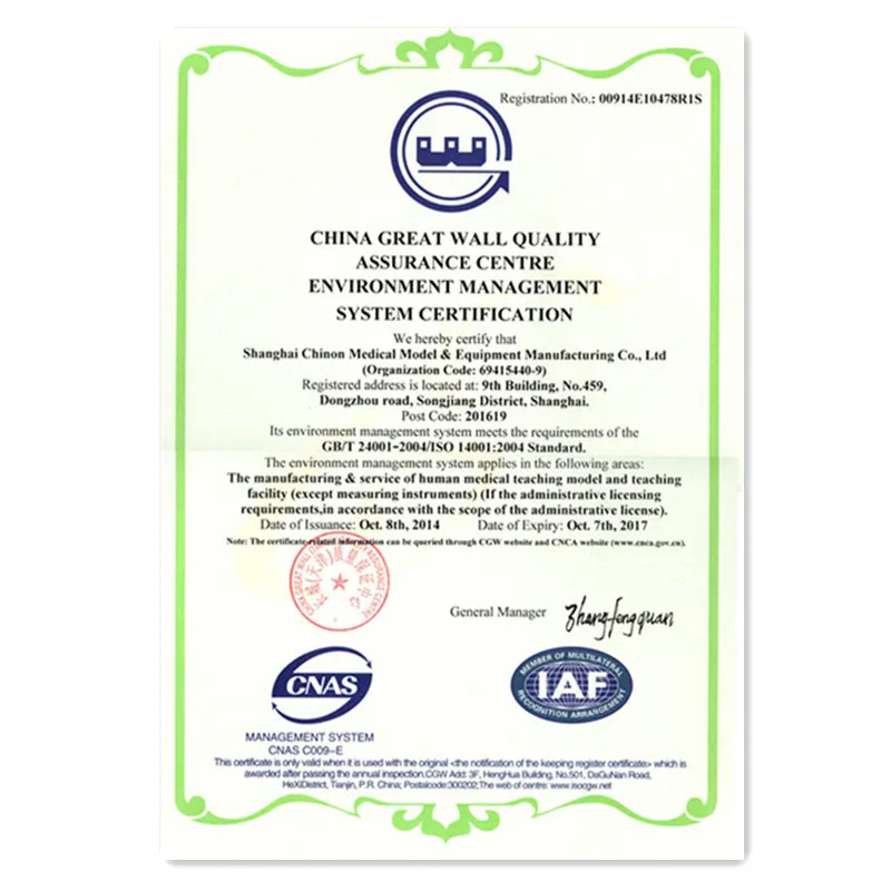 ADA-A1027 life-size human anatomy foot simulation skeleton model