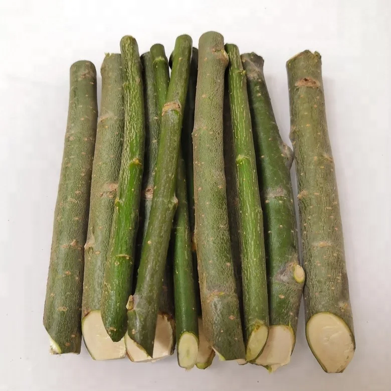 Древесина и древесина свежая резка для посадки