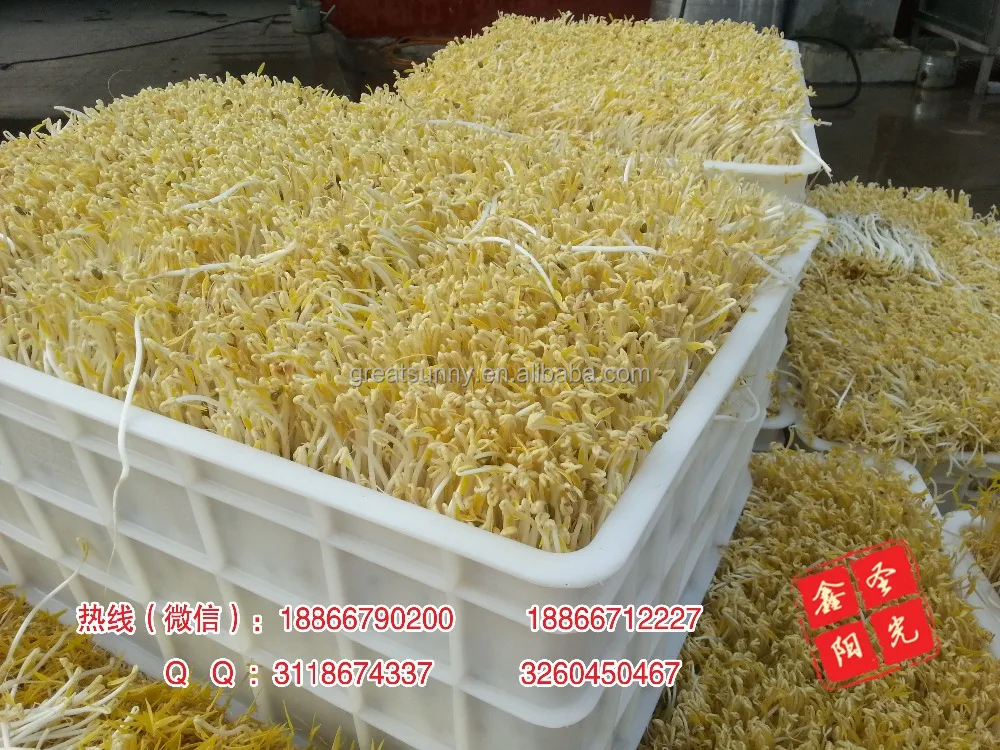 
Nissan 30~1000 kg bean sprouts machine, hydroponic farming systems 