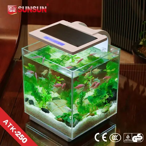 SUNSUN wholesale aquarium fish exporter in kerala ATK-250