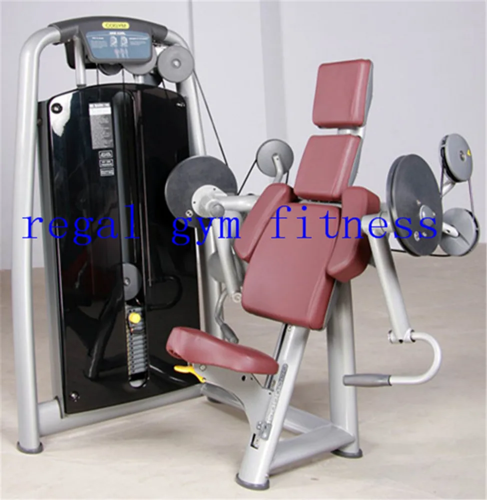 Best Quality Biceps Curl/arm curl Commercial Fitness Equipment Brands Exercise Machine