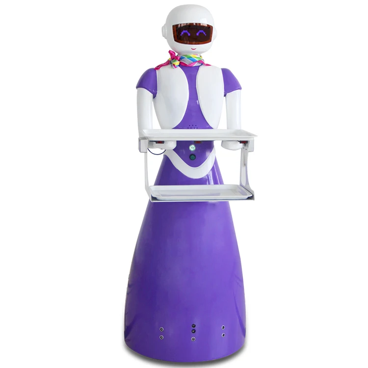 kitchen machine robot autonomous mobile humanoid intelligent robot waiter for sale