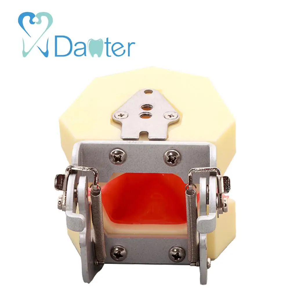 Best Price Implant Practice Model Dental Model for Implant and Suturing