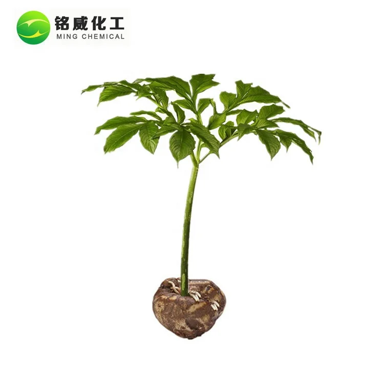 Pure Natural Konjac Glucomannan Powder Konjac Root Extract Supplier