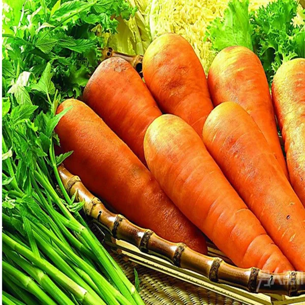 China Factory Price Dehydrate Vegetable Dried Carrot