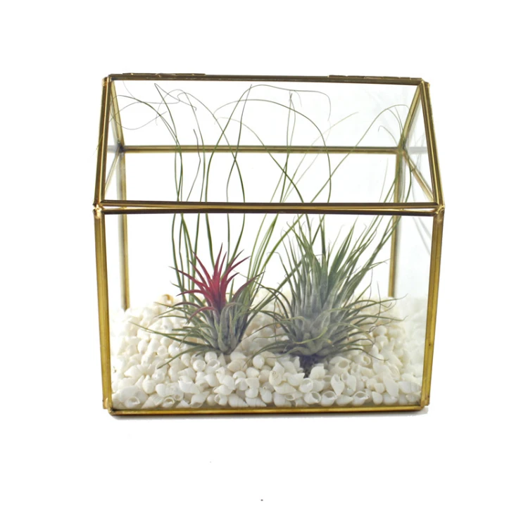 Handmade Polishing clear unique glass vases Glass terrarium with Lid