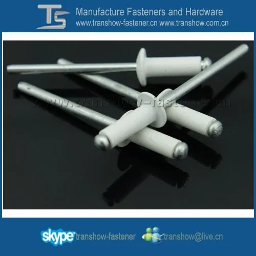 black painted Steel pop blind rivet