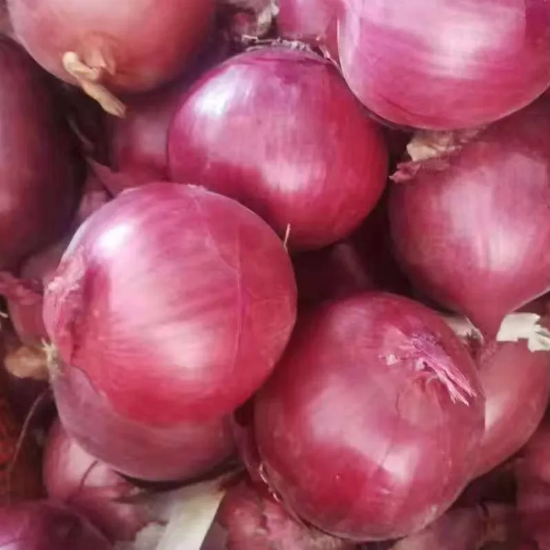 
2021 Chinese Onion Supplier 
