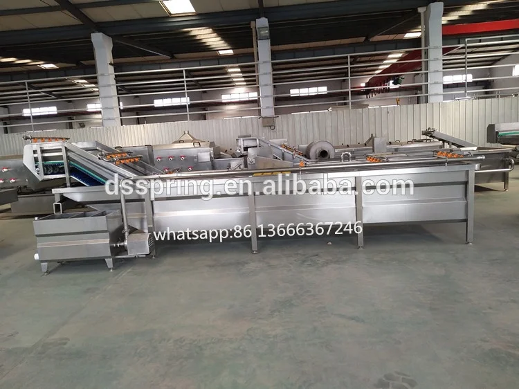 industry onion cucumber Kohlrabi salad leaf vegetable washing equipment cutting grading process machine manufacturer