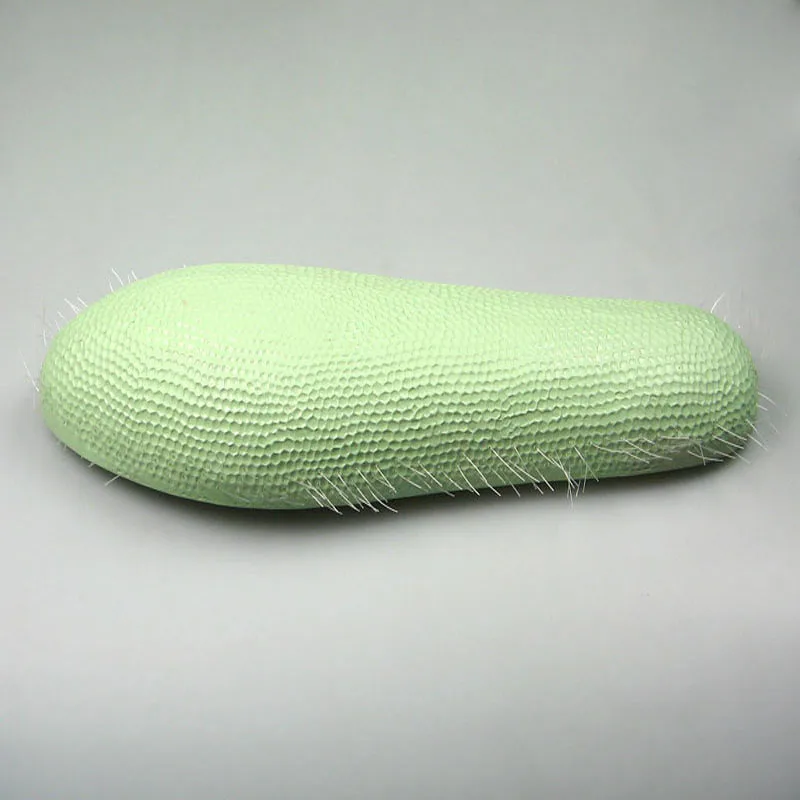 
Biology Teaching Aids Anatomical Paramecium Model 