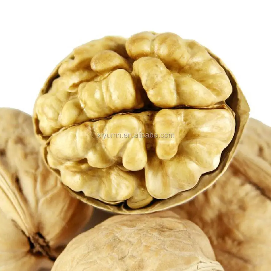 Китайский весь орех в shell/185 бумага скорлупы грецкого ореха