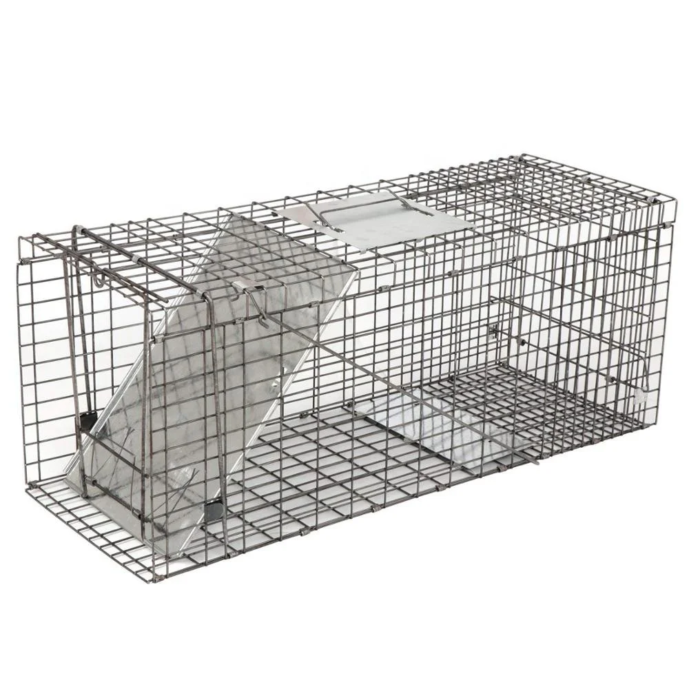 Professional One Door Racoon Trap  Large Live Animal Trap