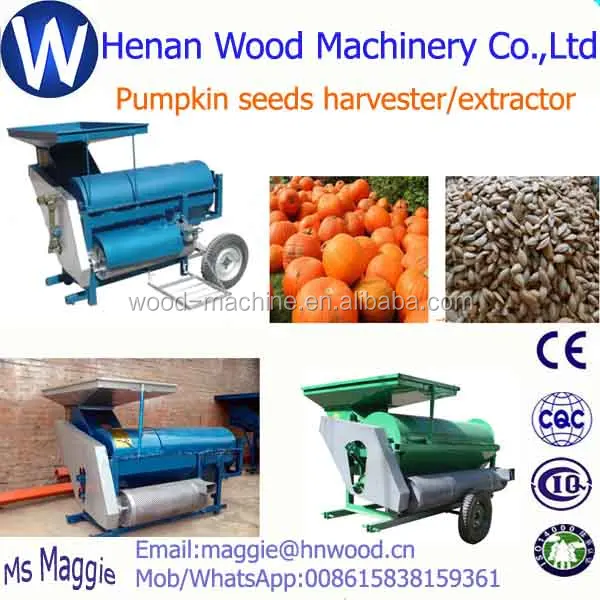 Harvesting+extracting melon seeds extractor/pumpkin seeds processing machine/pumpkin seeds extractor WhatsApp 008615838159361
